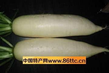 江西永丰特产扁萝卜种子白色 湖南大萝卜种子多少钱一斤