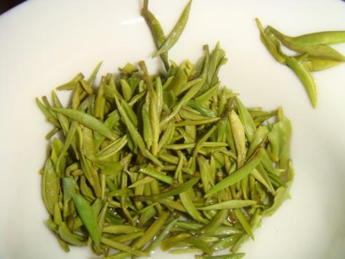 土山茶有什么特产 广东野山茶