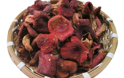 小梅土特产红菇 红菇是中国特产吗