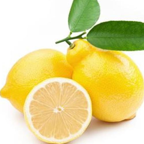 柠檬有什么特产 中国哪里的柠檬最好最出名