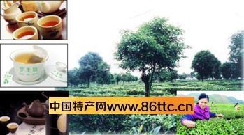 上杭县农特产品展销会地址 上杭新发地农产品批发市场