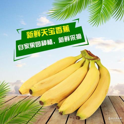 家乡的特产香蕉说明文 介绍香蕉说明文