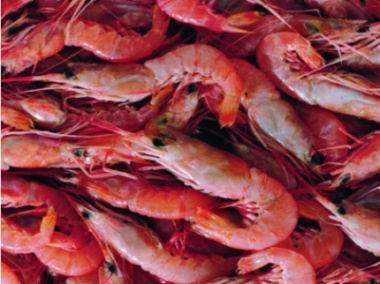 龙海特产批发在哪里 龙海食品最大批发市场