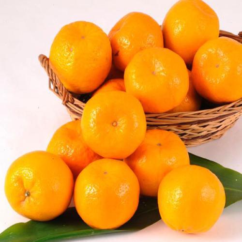 漳州龙海水果特产 龙海最有名的水果