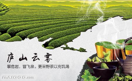 云雾茶是哪里的特产 云雾茶哪个地区最好