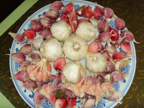 新疆红薯特产有哪些品种 新疆哪个地区红薯比较好