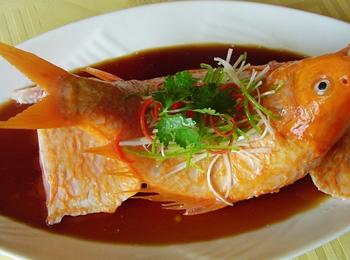 中国特产红鲤鱼 哪里可以买到能吃的红鲤鱼