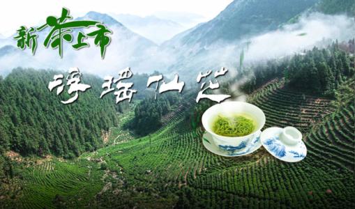 浮梁茶是哪里的特产茶 浮梁最好的茶叶是什么