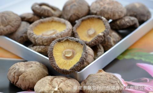 蜀南竹海特产香菇 蜀南竹海有哪些食用菌