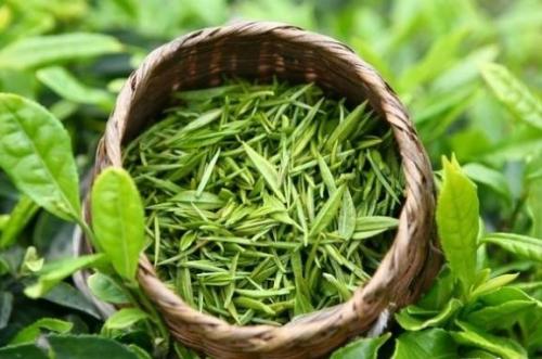 越南特产茶叶是什么茶叶 越南出名的茶叶包装