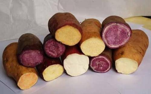 南雄特产红薯丝的做法 农村番薯丝的制作过程