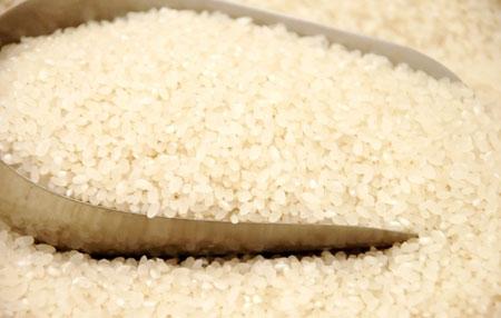 江西特产大米 江西一般吃什么大米