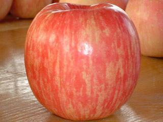 我老家的特产是红富士苹果 红富士苹果哪个省份的好吃