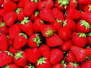 商丘特产是草莓吗 商丘哪里有红色的草莓