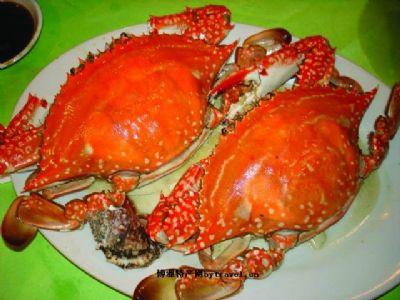 梭子蟹是温州特产嘛 浙江梭子蟹哪里最好吃
