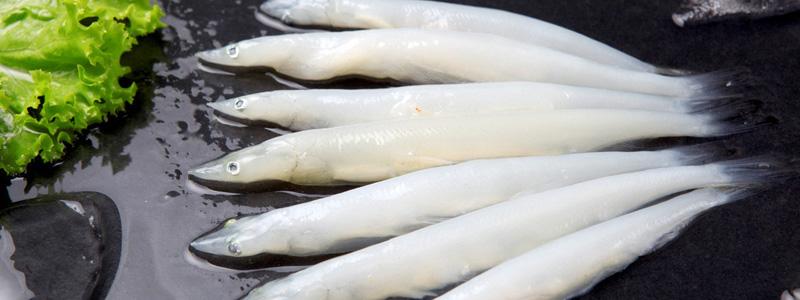 湖南特产银鱼怎么吃 安徽银鱼最佳吃法和做法