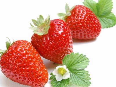 关于草莓特产的描写简短 描写草莓的优美句子3篇
