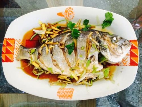 东港野生特产是什么鱼 野生海产鱼可以吃吗图片介绍
