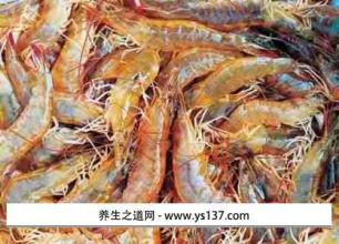 曹妃甸区特产唐海对虾专题 曹妃甸对虾多少钱