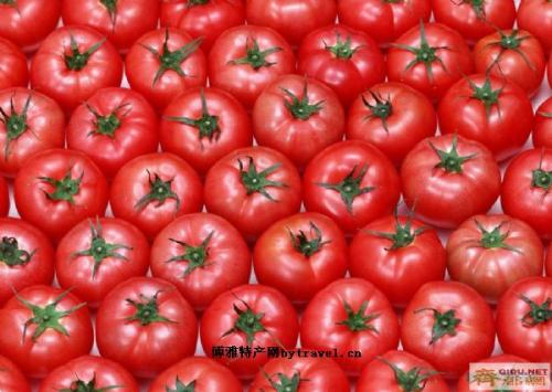 青岛特产红柿图片 正宗红柿子图片