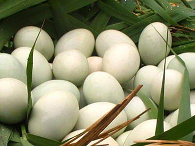 农产品土特产咸鸭蛋 
