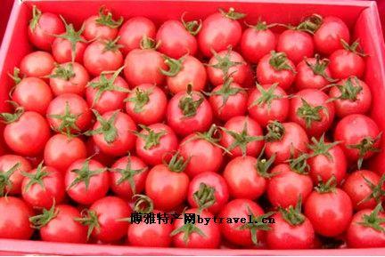 番茄是哪个地方的特产 中国哪里特产西红柿