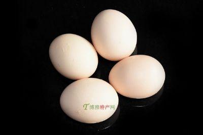 贵州鸡蛋特产 贵州特产鸡蛋有哪些品种