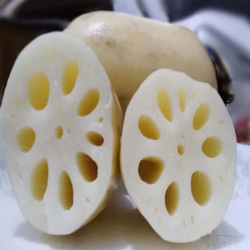 白洋淀莲藕特产视频 白洋淀鲜藕批发