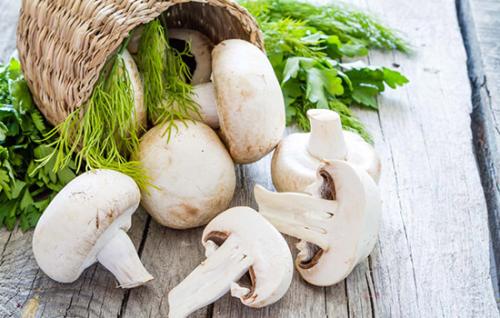 鲁山特产蘑菇叫什么 鲁山县境内的可食用的野蘑菇