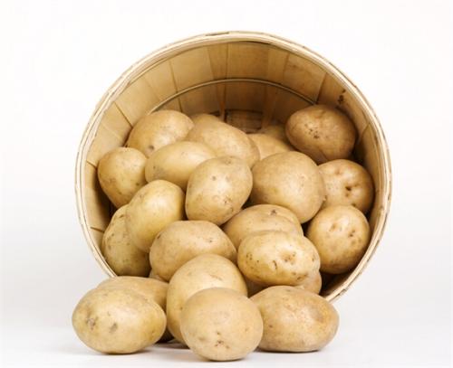 东北特产土豆干批发价多少钱一斤 土豆干的价格多少钱一斤