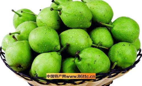 菏泽特产疙瘩梨 麻梨疙瘩原料多少钱一斤
