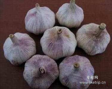 农家特产大蒜种植方法图片 广东如何种植大蒜