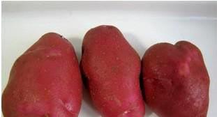 周宁县的土豆是特产吗 周宁县哪个镇的土豆最多
