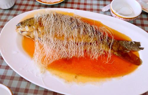 广汉特产是锦鲤鱼吗图片 