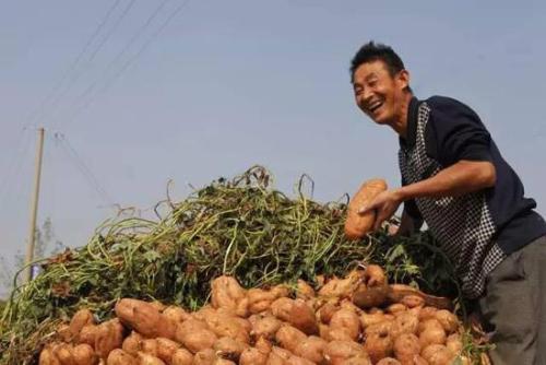 赣州特产红薯干农家自制零添加 真正的江西红薯干制作方法
