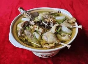 越南特产黄金菇 越南顶级蘑菇