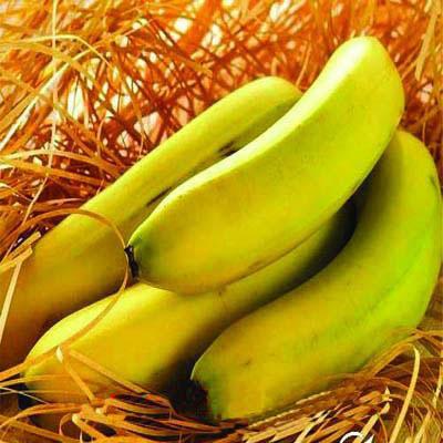 农村特产香蕉 家乡的特产香蕉简介