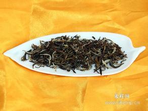 贵州哪里特产茶 贵州哪个县有特产茶