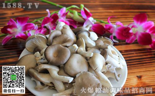 云南特产茶树菇哪里找 云南必买的菌菇