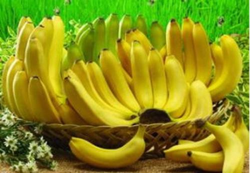 香蕉片哪里的特产 香蕉片为什么便宜又好吃