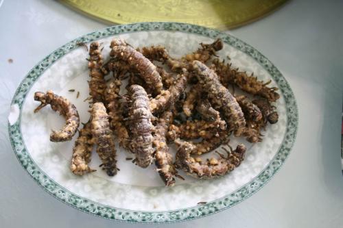 海南特产沙虫多少钱一斤 海南海鲜干货特产沙虫