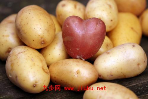 马铃薯是甘肃省哪个地方的特产 甘肃哪里马铃薯有名