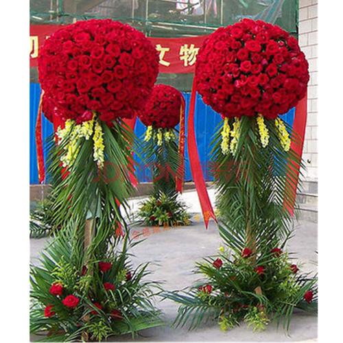 南京特产盆栽花卉 南京常用花卉