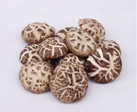 神农架特产花菇和黑木耳多少钱 大头菌菇土特产推荐