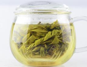 苦丁茶是哪的特产 苦丁茶哪里出产的最好