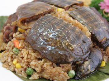 广西特产30斤以上的甲鱼 广西的甲鱼多少钱一斤