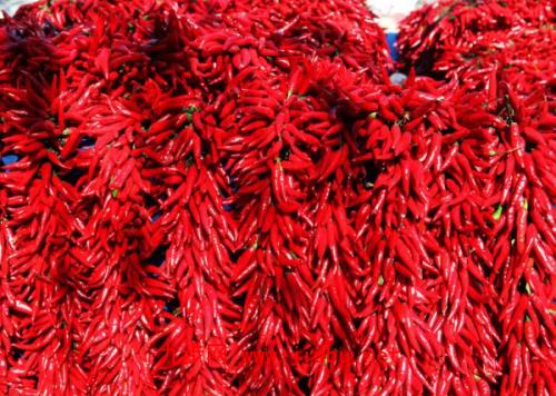 贵州特产干辣椒有何特点 贵州的土特产贵州的干辣椒