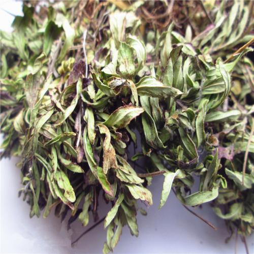 上海特产茶叶是什么茶类 