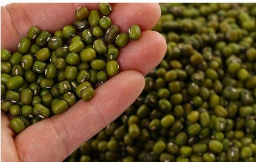 淮安特产绿豆 哪里的特产是绿豆
