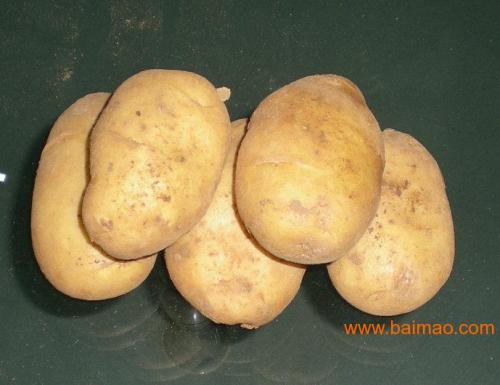 家乡的特产马铃薯 推荐家乡特产土豆